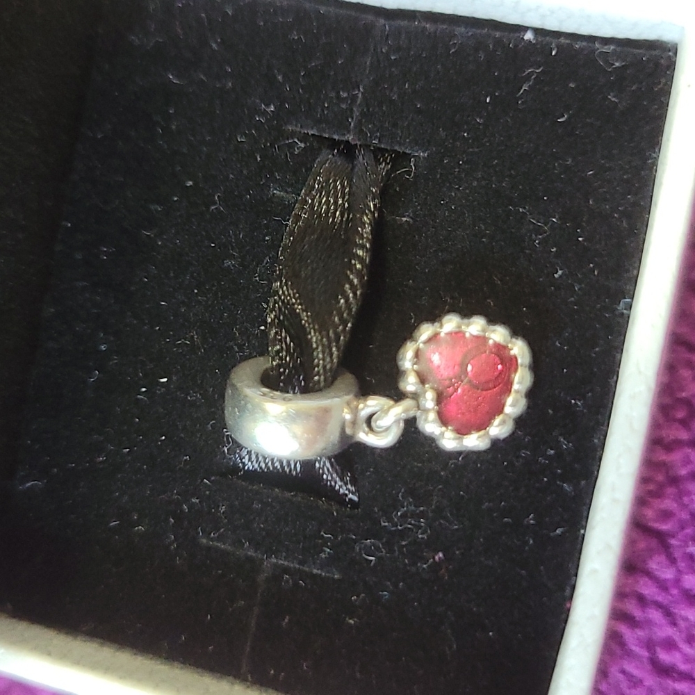 Pandora charm